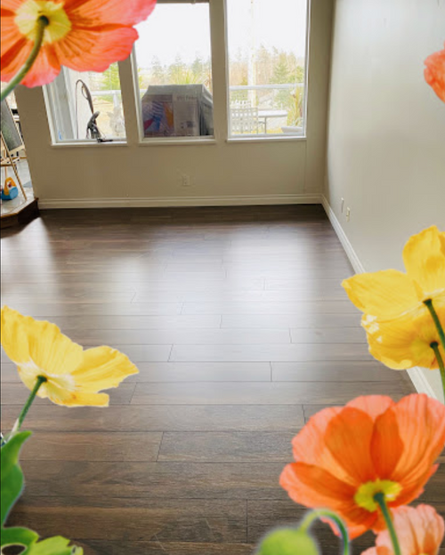 - Jessie Wan - Jessie Wan