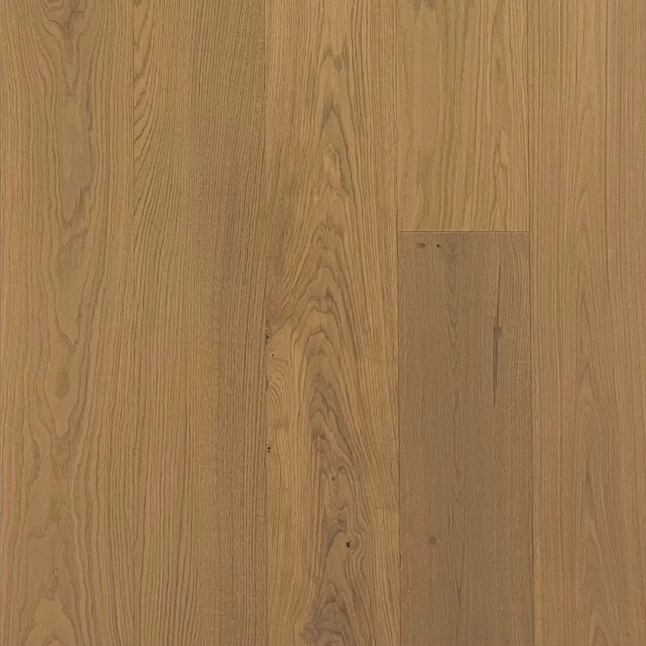 An image of a   Pindar Floors West Coast/Coastal Collection Everett by LONGTERM house floor