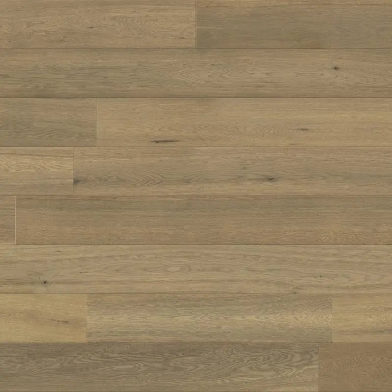 An image of a   Pindar Floors Nordic Elegance Renfrew by LONGTERM house floor