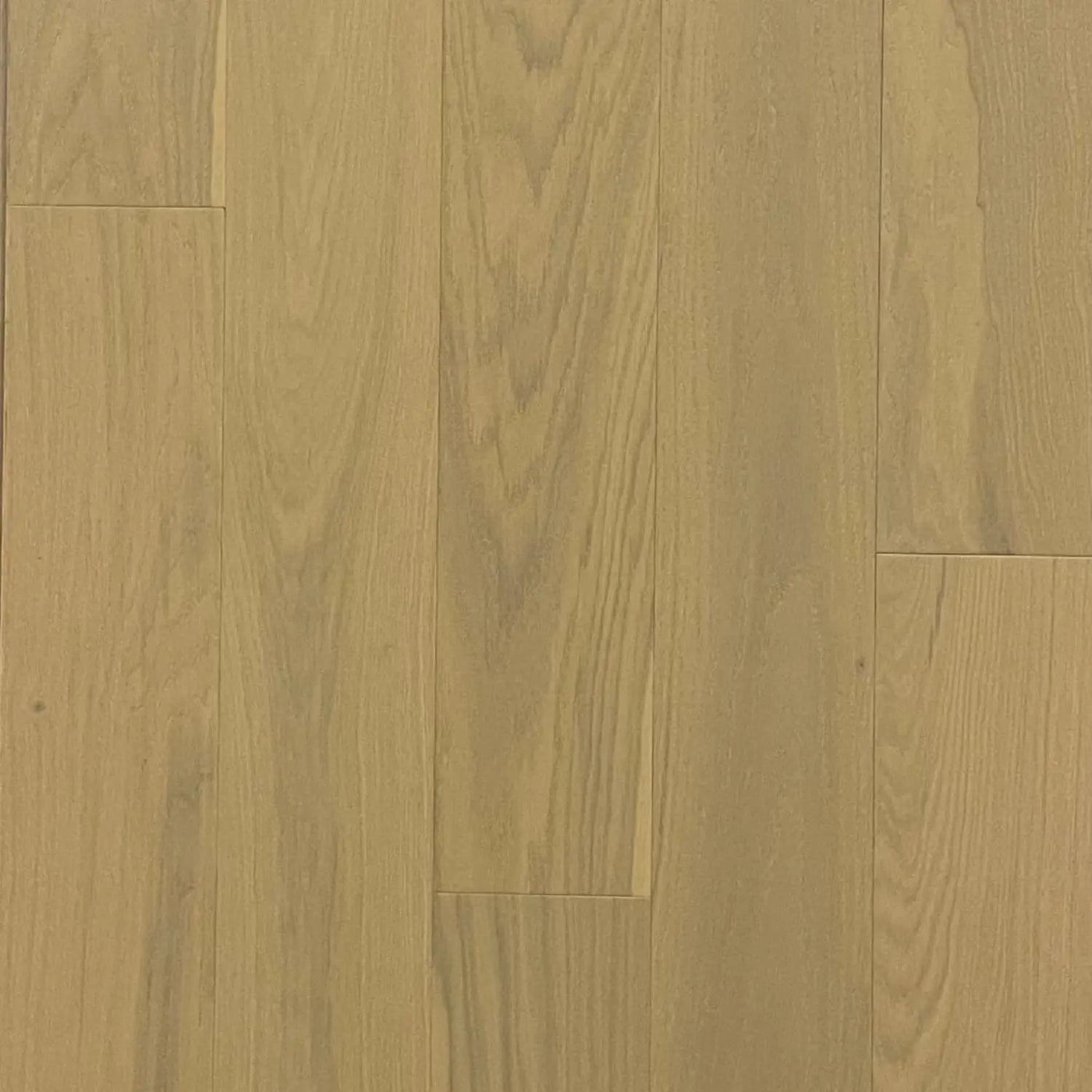 An image of a   Pindar Floors Valor Collection Valdez by LONGTERM house floor