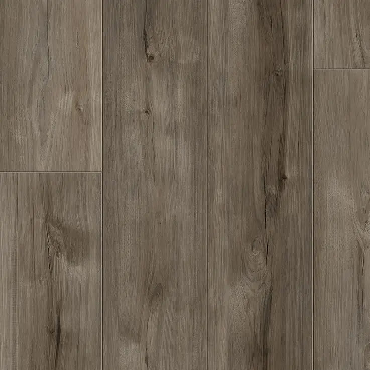 An image of a   [Sample]Atlantis Collection SPC Flooring Charleson by LONGTERM house floor