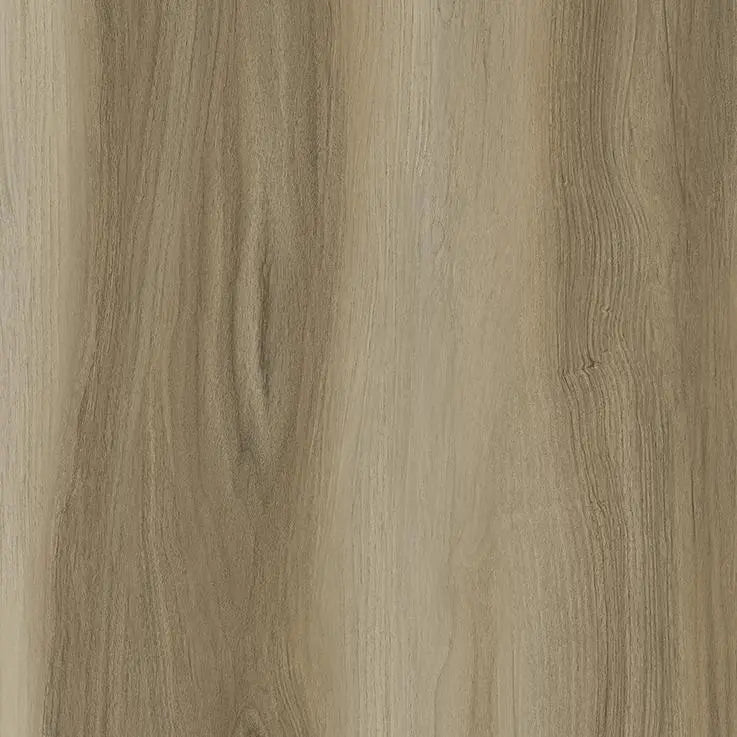 An image of a   [Sample]Atlantis Collection SPC Flooring Lonsdale by LONGTERM house floor