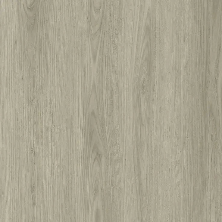 An image of a   [Sample]Atlantis Collection SPC Flooring Seymour by LONGTERM house floor