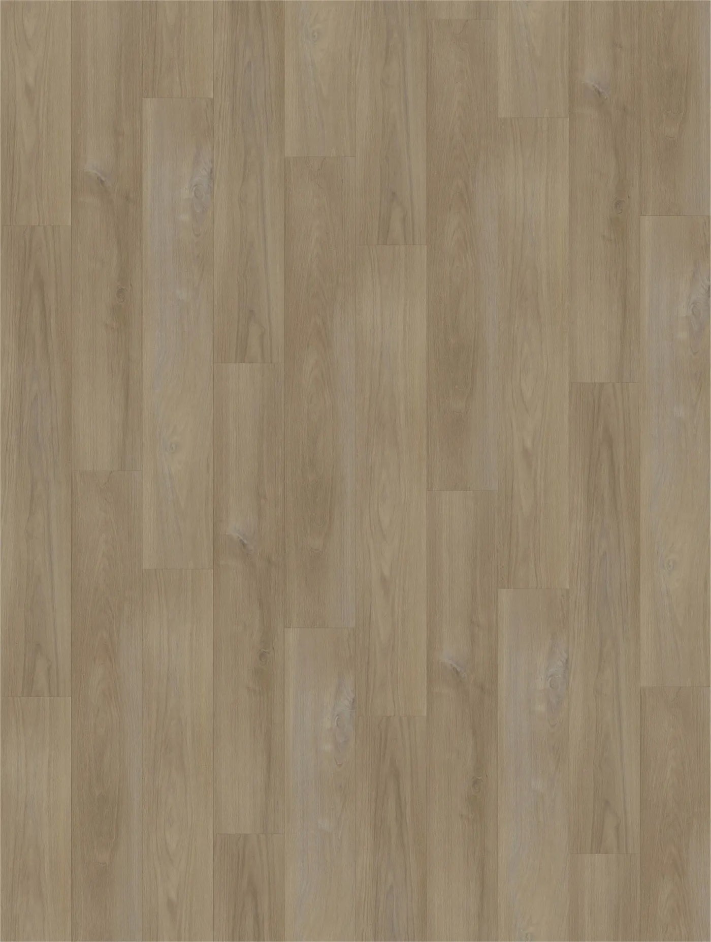 An image of a   [Sample]Caroline Collection Cottage by LONGTERM house floor
