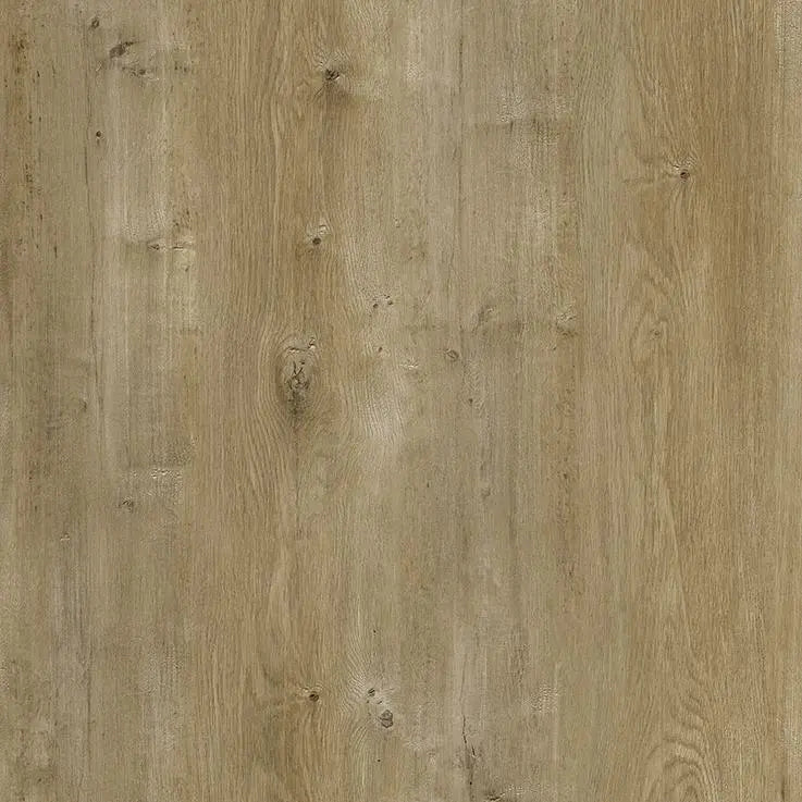 An image of a   [Sample]Craftsman Collection New Sandcove by LONGTERM house floor