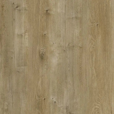 An image of a   [Sample]Craftsman Collection New Sandcove by LONGTERM house floor