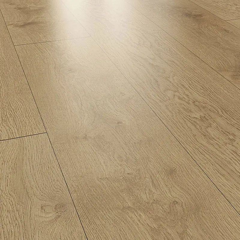 An image of a   [Sample]Swiss Krono Laminate Fine by LONGTERM house floor