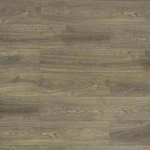 An image of a   [Sample]TOUCAN Laminate TCL6003-F by LONGTERM house floor