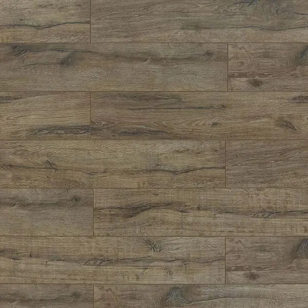 An image of a   [Sample]TOUCAN Laminate TCL6005-F by LONGTERM house floor