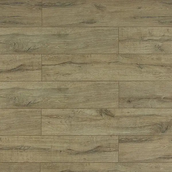 An image of a   [Sample]TOUCAN Laminate TCL6010-F by LONGTERM house floor