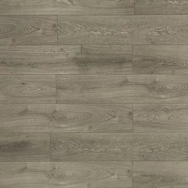 An image of a   [Sample]TOUCAN Laminate TCL6021-F by LONGTERM house floor