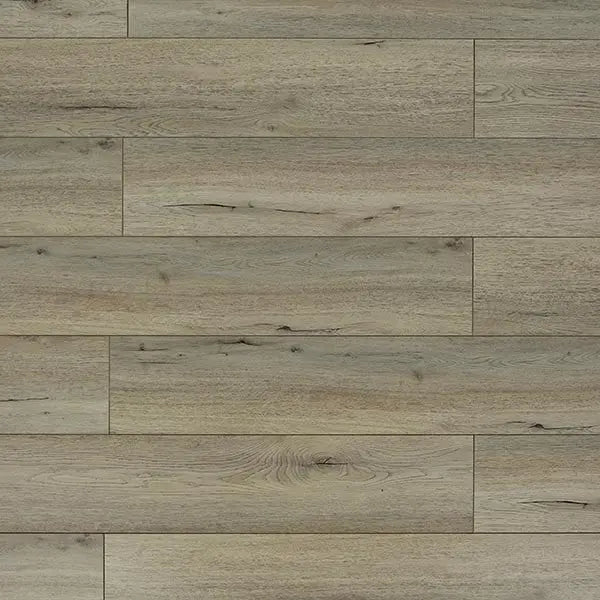 An image of a   [Sample]TOUCAN Laminate TCL6201-F by LONGTERM house floor