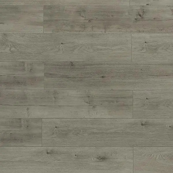 An image of a   [Sample]TOUCAN Laminate TCL6303-F by LONGTERM house floor