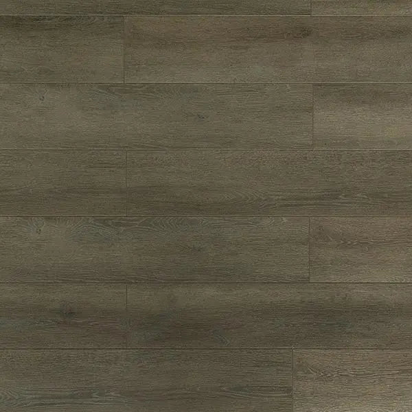 An image of a   [Sample]TOUCAN Laminate TCL6305-F by LONGTERM house floor