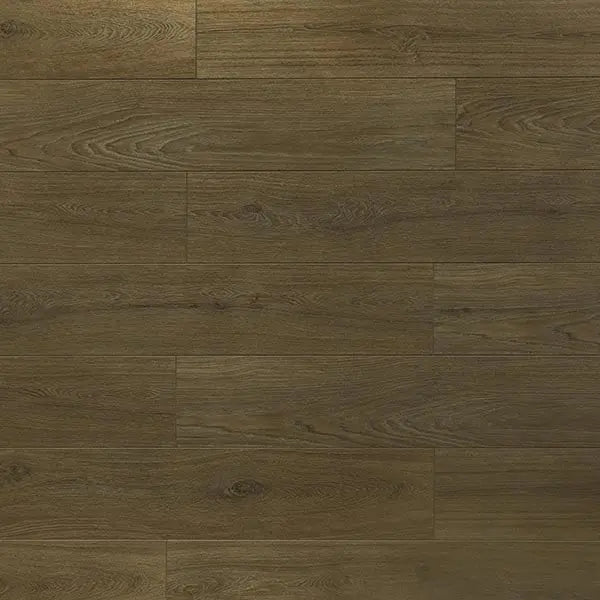 An image of a   [Sample]TOUCAN Laminate TCL6308-F by LONGTERM house floor