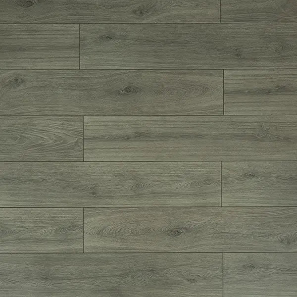 An image of a   [Sample]TOUCAN Laminate TCL6309-F by LONGTERM house floor