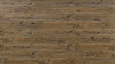 An image of a   [Sample]TOUCAN Waterproof Laminate TCWL8002 by LONGTERM house floor