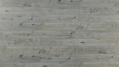 An image of a   [Sample]TOUCAN Waterproof Laminate TCWL8003 by LONGTERM house floor