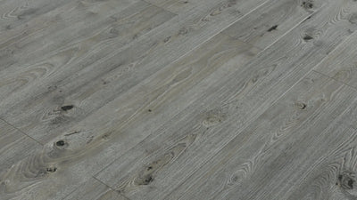 An image of a   [Sample]TOUCAN Waterproof Laminate TCWL8003 by LONGTERM house floor