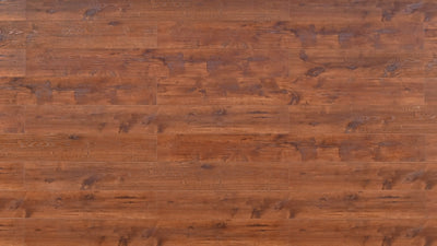 An image of a   [Sample]TOUCAN Waterproof Laminate TCWL8005 by LONGTERM house floor