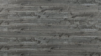 An image of a   [Sample]TOUCAN Waterproof Laminate TCWL8007 by LONGTERM house floor