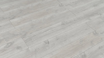 An image of a   [Sample]TOUCAN Waterproof Laminate TCWL8008 by LONGTERM house floor