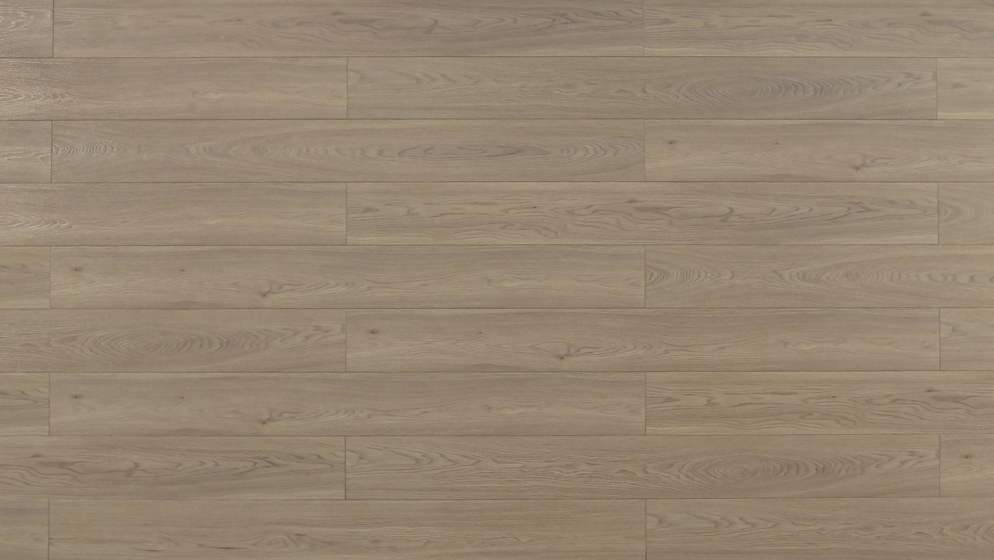 An image of a   [Sample]TOUCAN Waterproof Laminate TCWL8010 by LONGTERM house floor