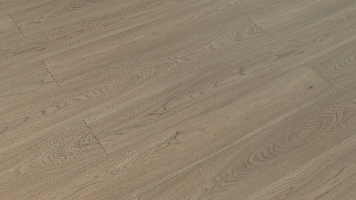 An image of a   [Sample]TOUCAN Waterproof Laminate TCWL8010 by LONGTERM house floor