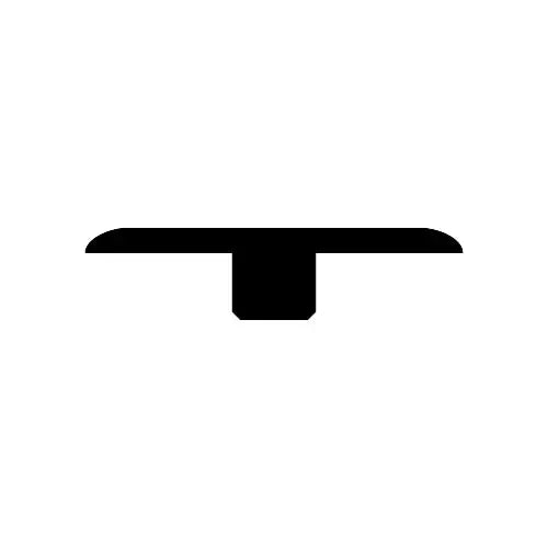 An image of a   T-MOLDING by LONGTERM house floor